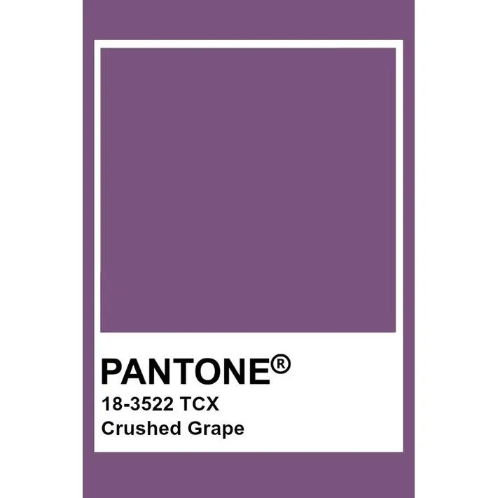 Adult's Crushed Grape Baggy Pants - 1 Left Size XS