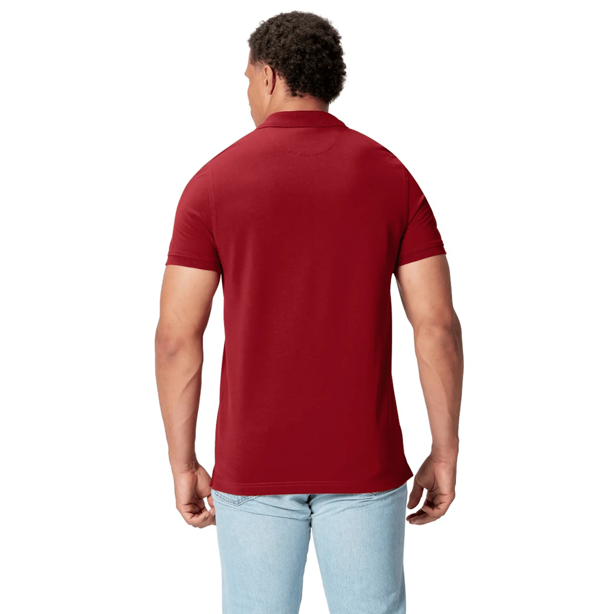 British & Irish Lions 25 Pique Polo by Canterbury