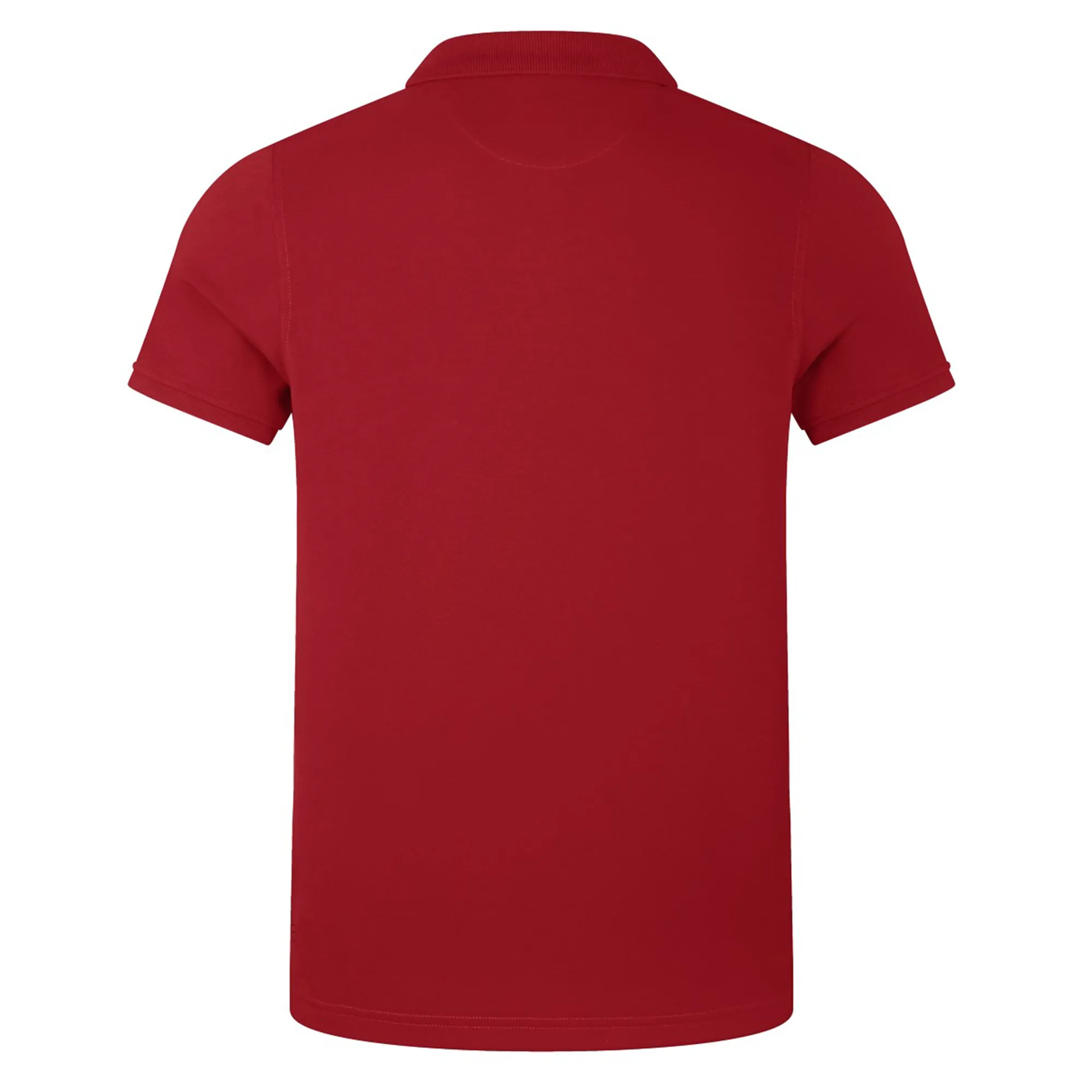 British & Irish Lions 25 Pique Polo by Canterbury