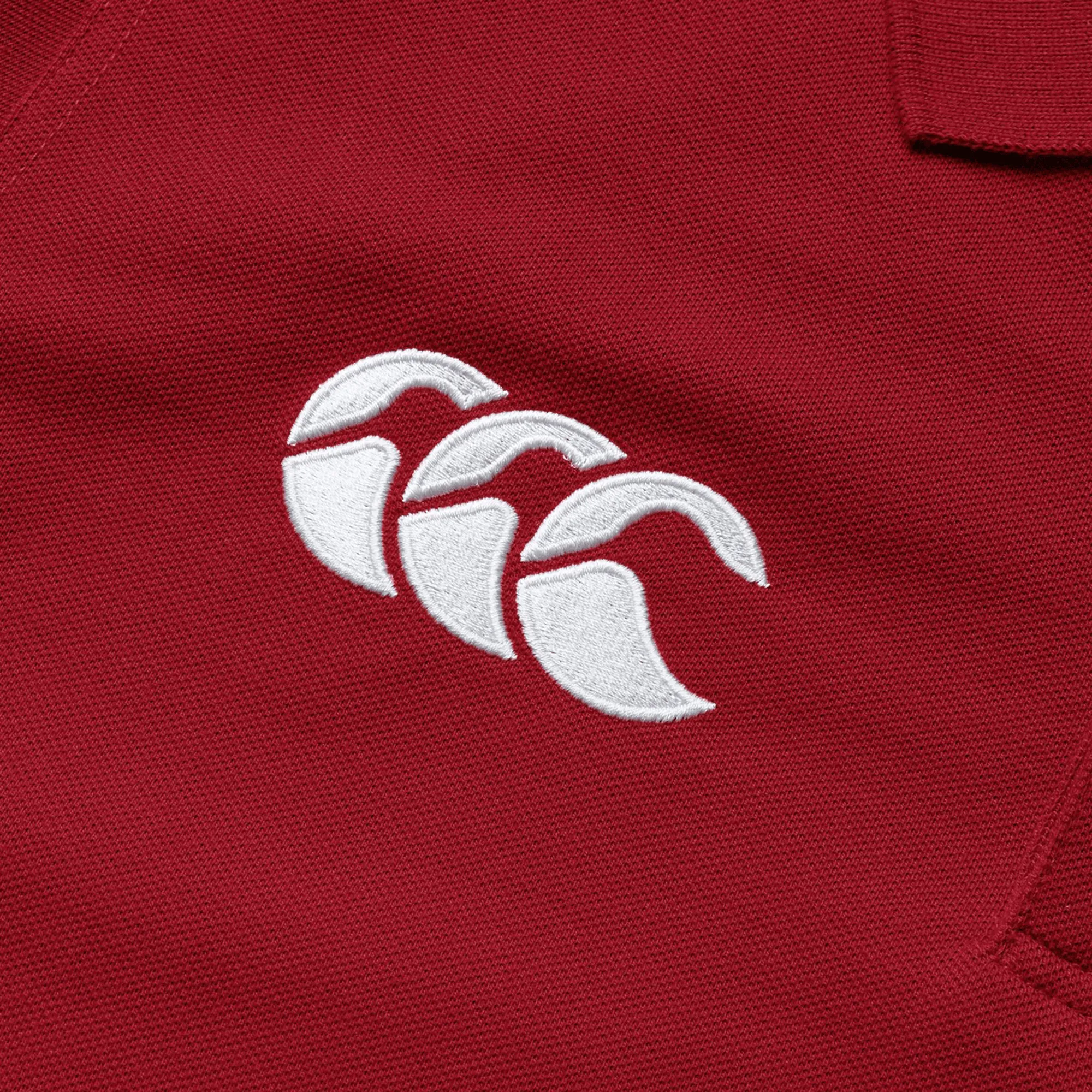 British & Irish Lions 25 Pique Polo by Canterbury