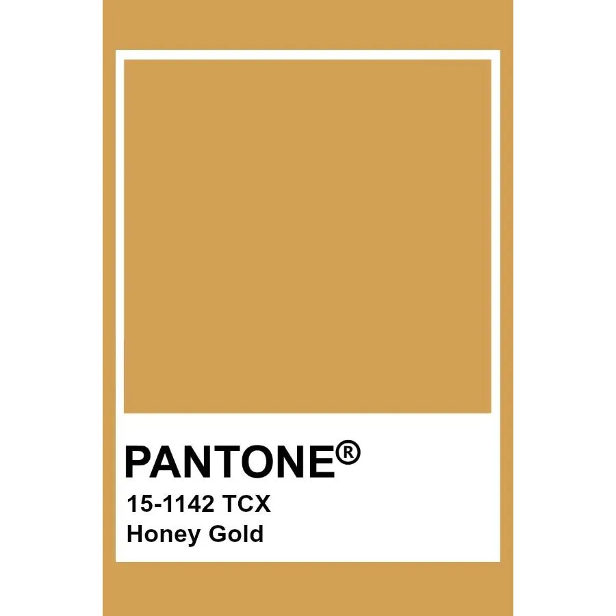 Honey Gold Baggy Pants - 2 Left Size 10-12 & 12-14 years