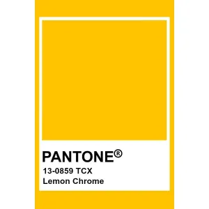 Lemon Chrome Baggy Pants
