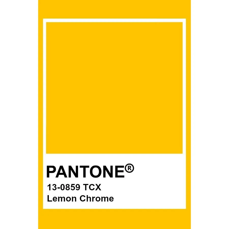 Lemon Chrome Baggy Pants