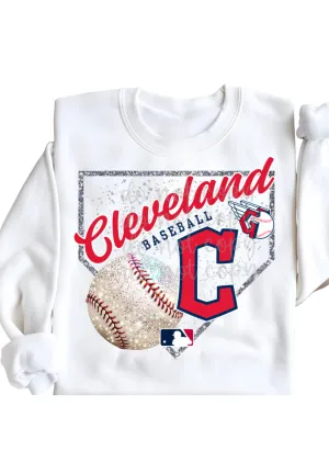 Pick your Team Homeplate Sweatshirt or T-Shirt