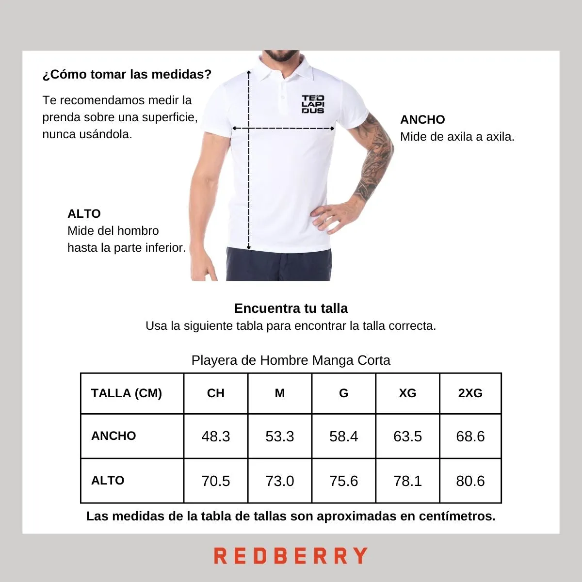 Playera Tipo Polo Hombre Ted Lapidus Paris M.