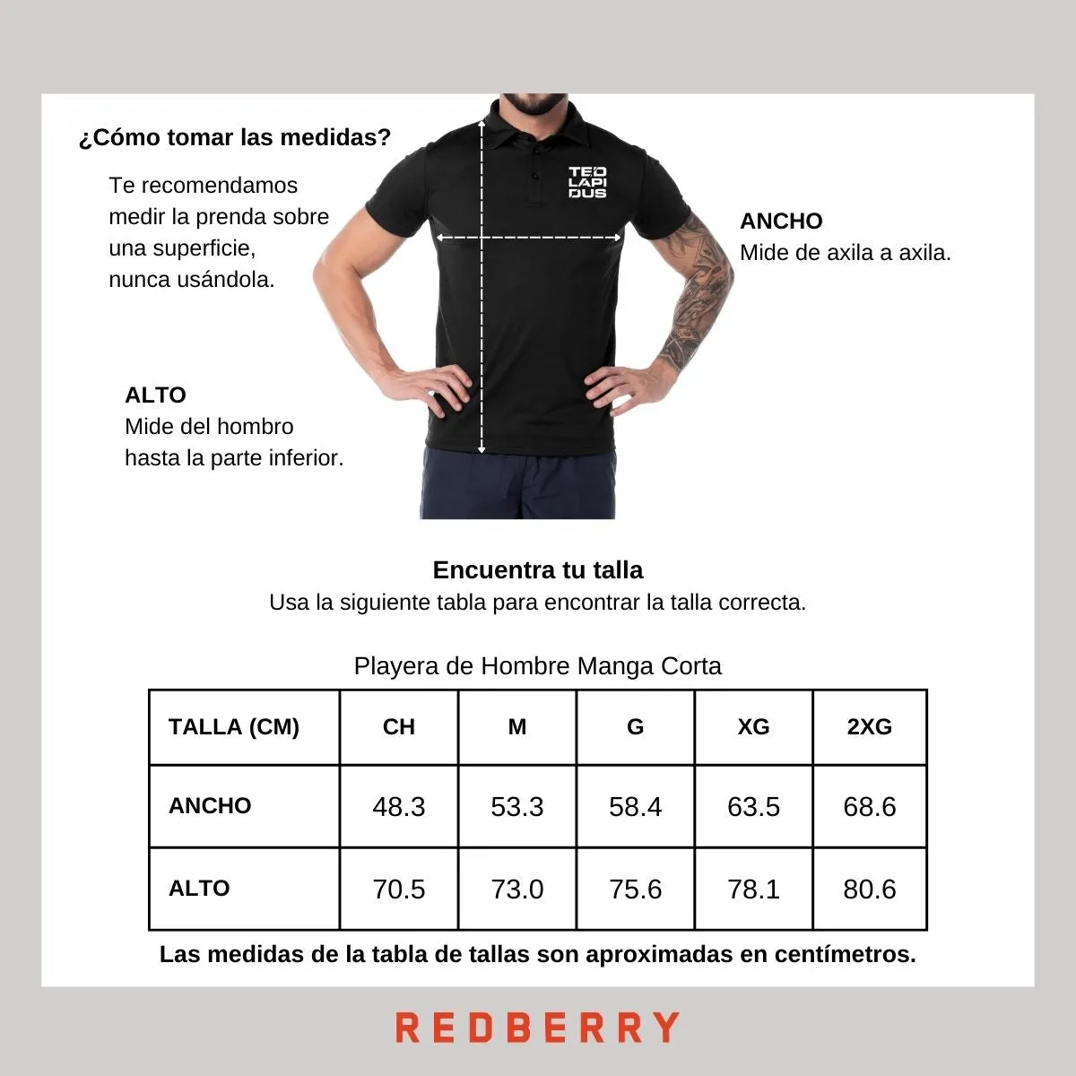 Playera Tipo Polo Hombre Ted Lapidus Paris M.