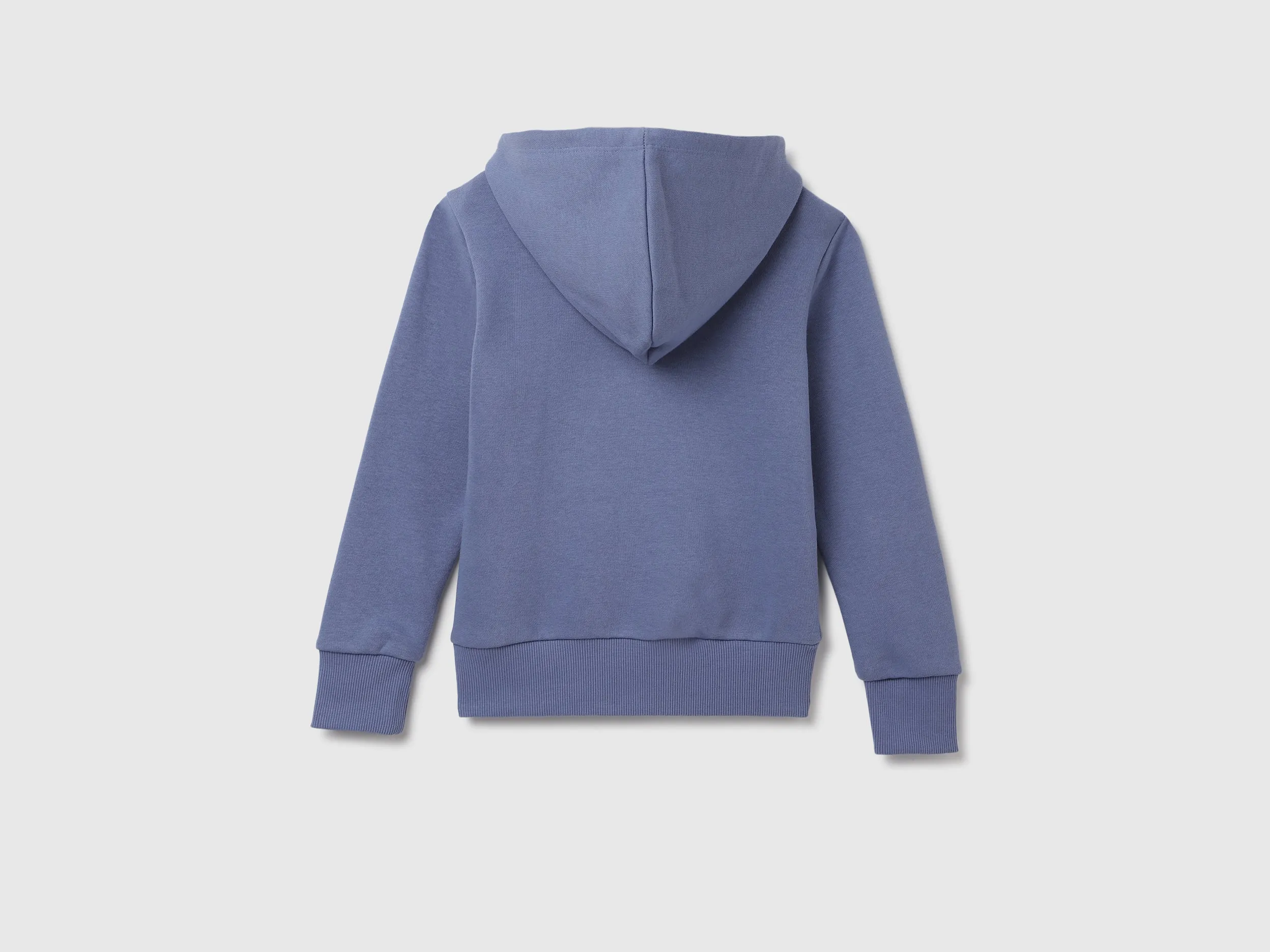 Regular Fit Hood Solid Sweatshirt