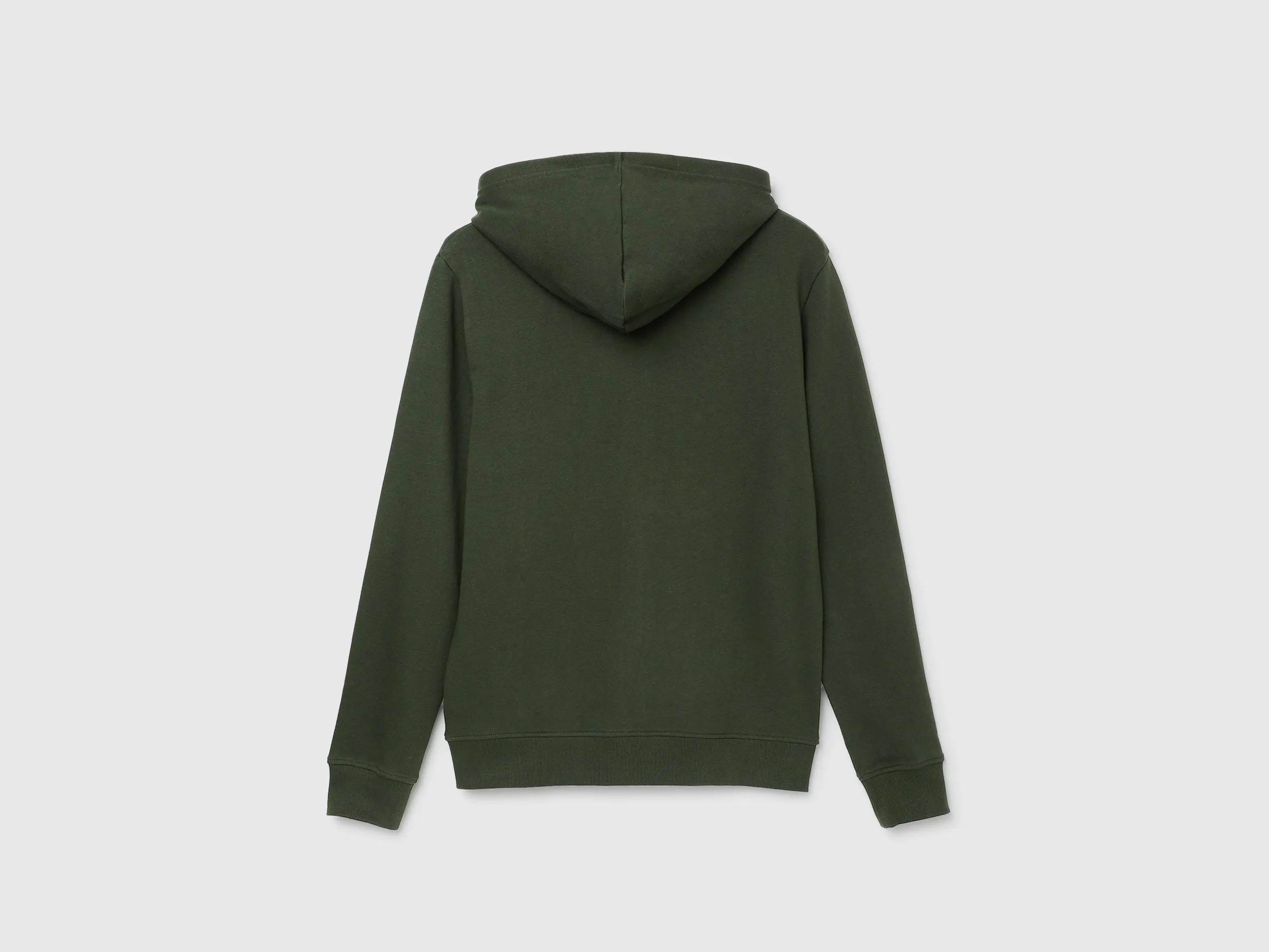 Regular Fit Hooded Solid Sweatshirt