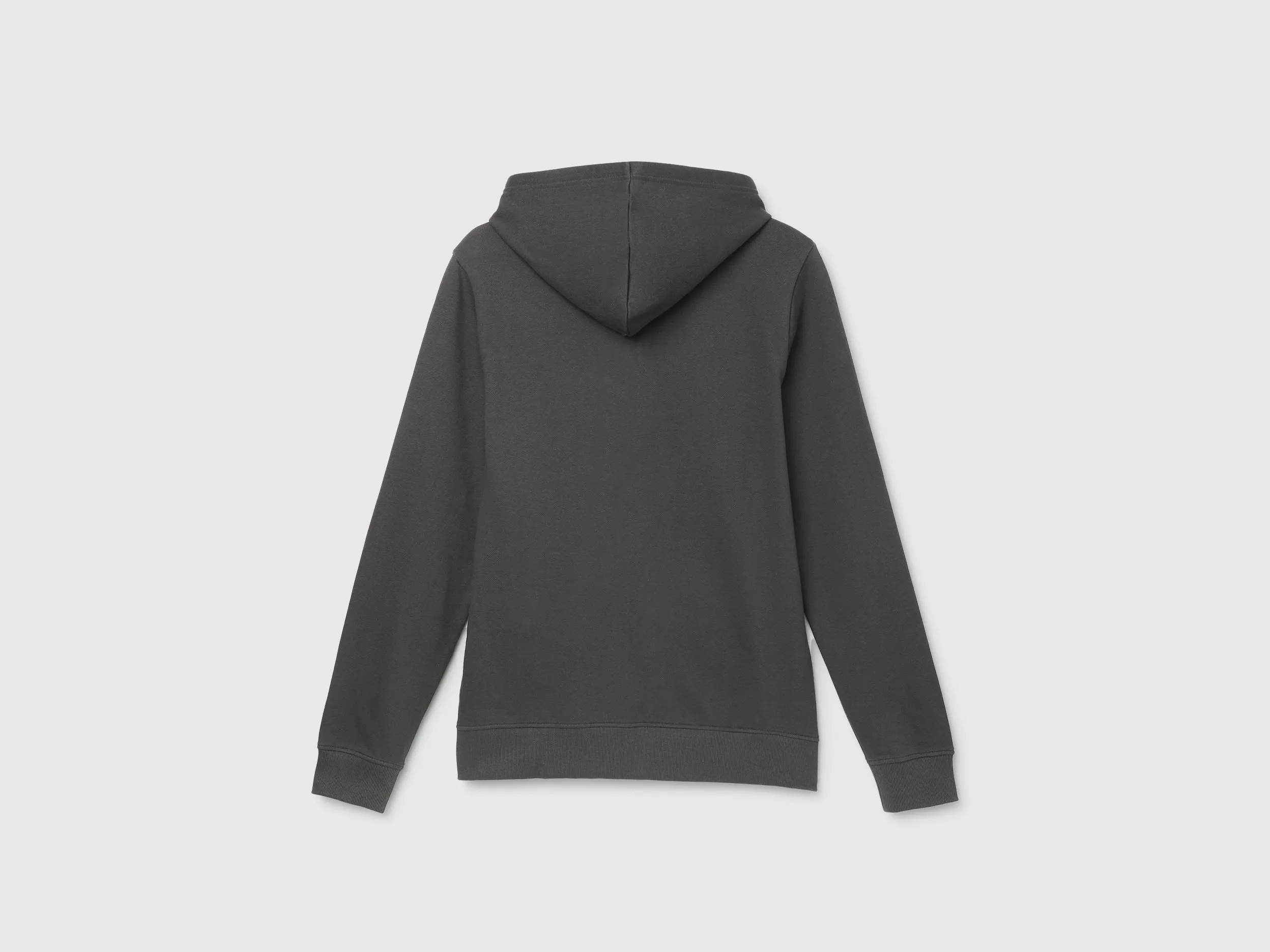 Regular Fit Hooded Solid Sweatshirt