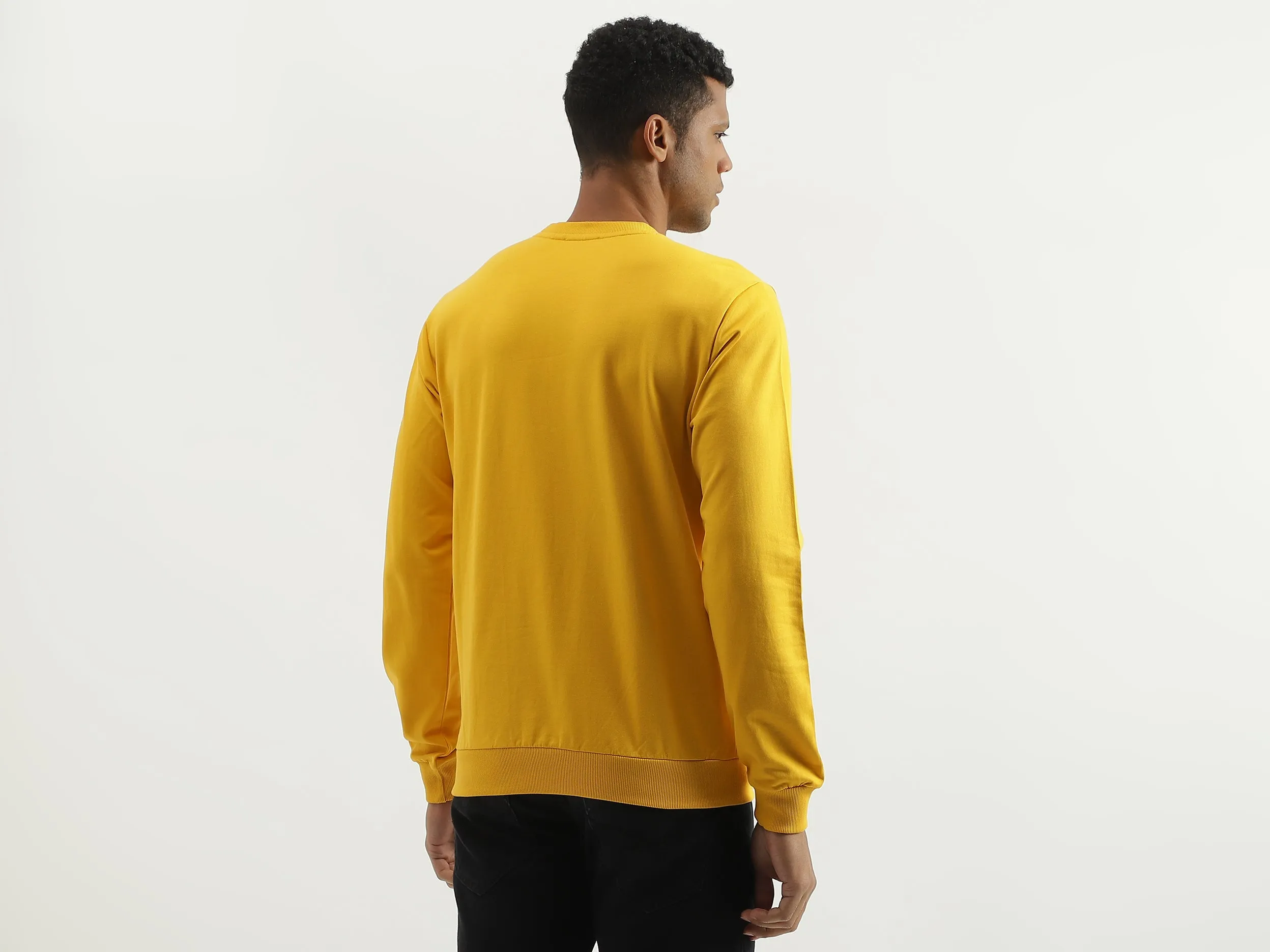 Regular Fit Round Neck Solid Sweatshirt