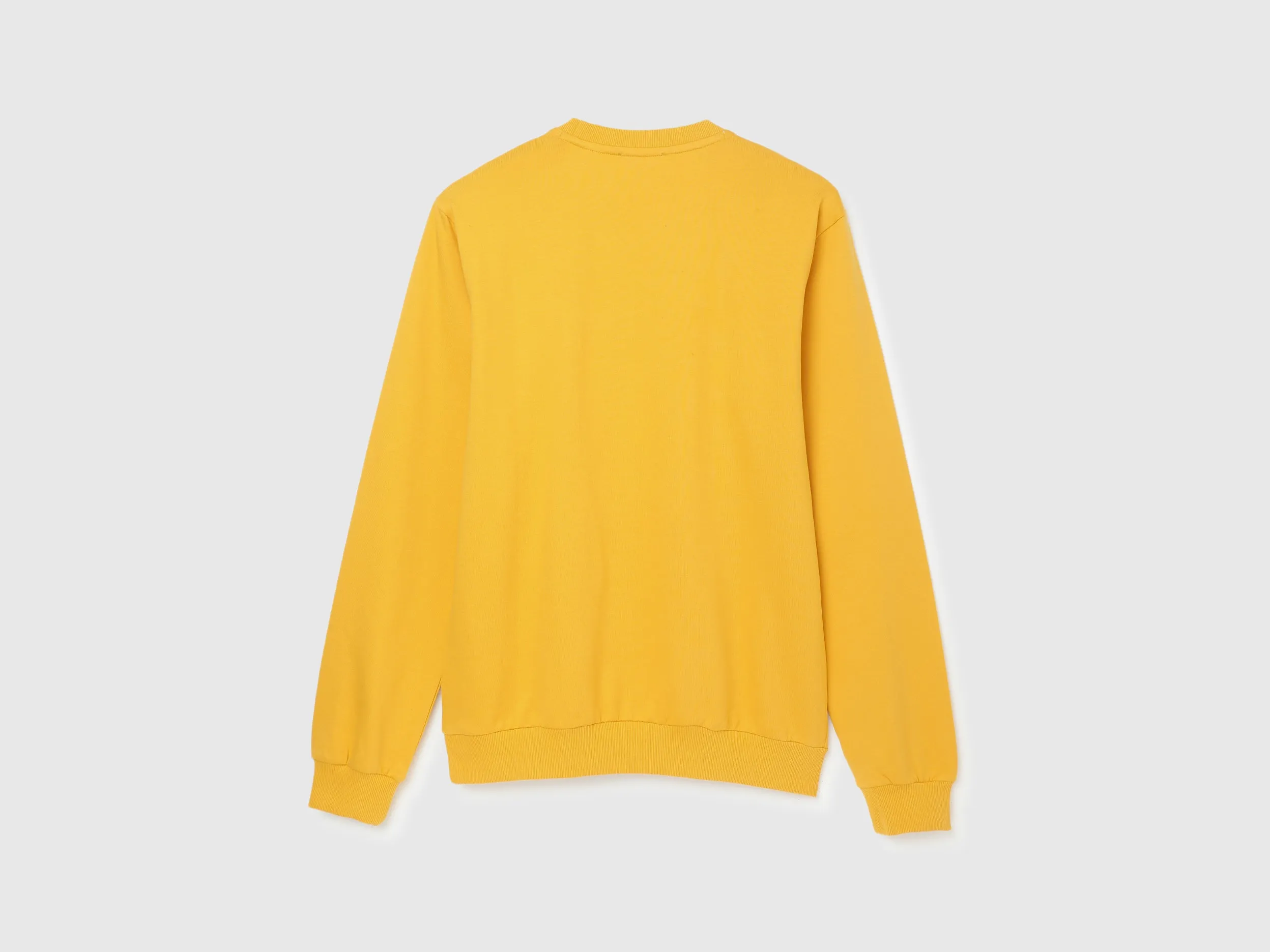 Regular Fit Round Neck Solid Sweatshirt