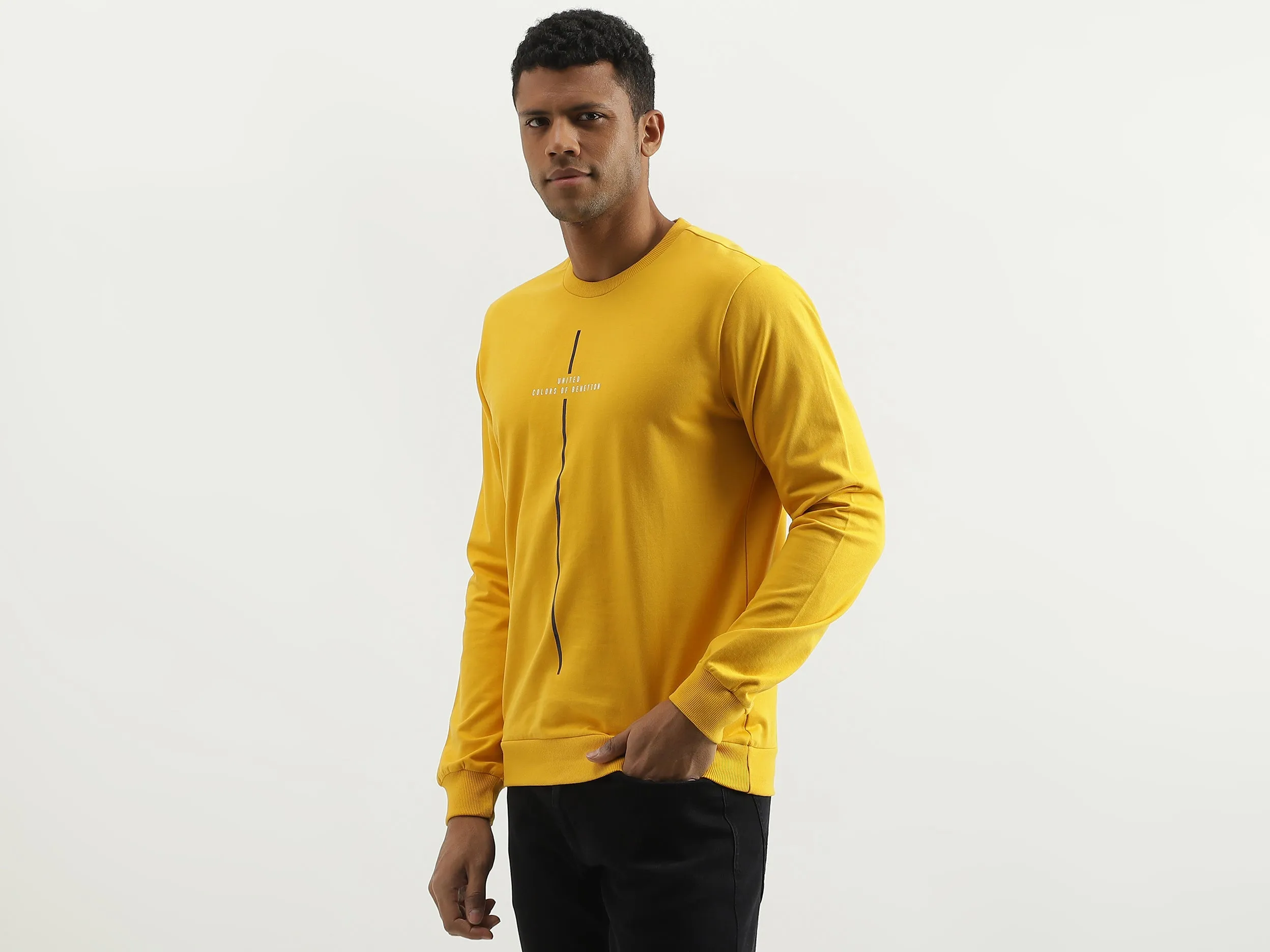 Regular Fit Round Neck Solid Sweatshirt